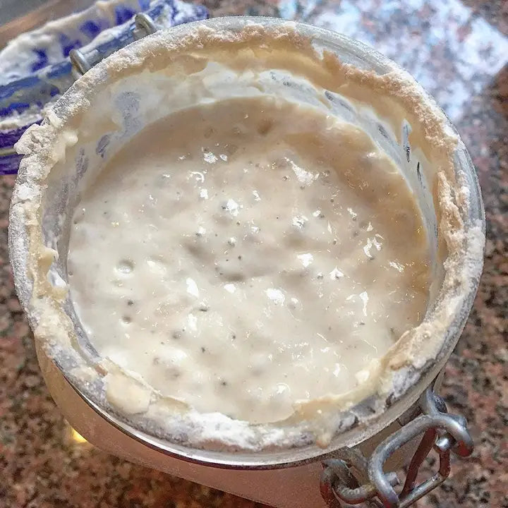 Sour Dough Starter