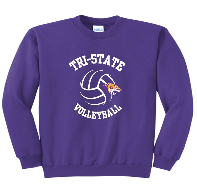 Port & Co Core Fleece Crewneck Youth & Adult