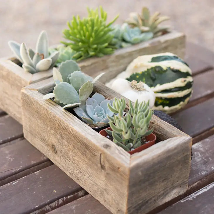 Reclaimed Wood Succulent Planter