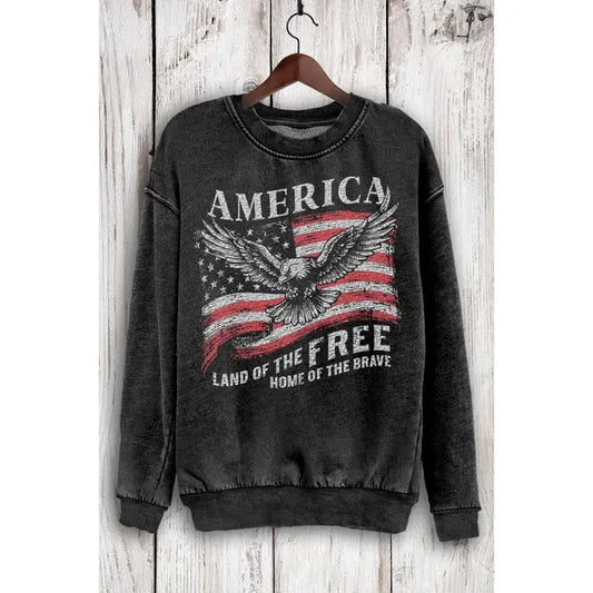 America Land of the Free Mineral Sweatshirt
