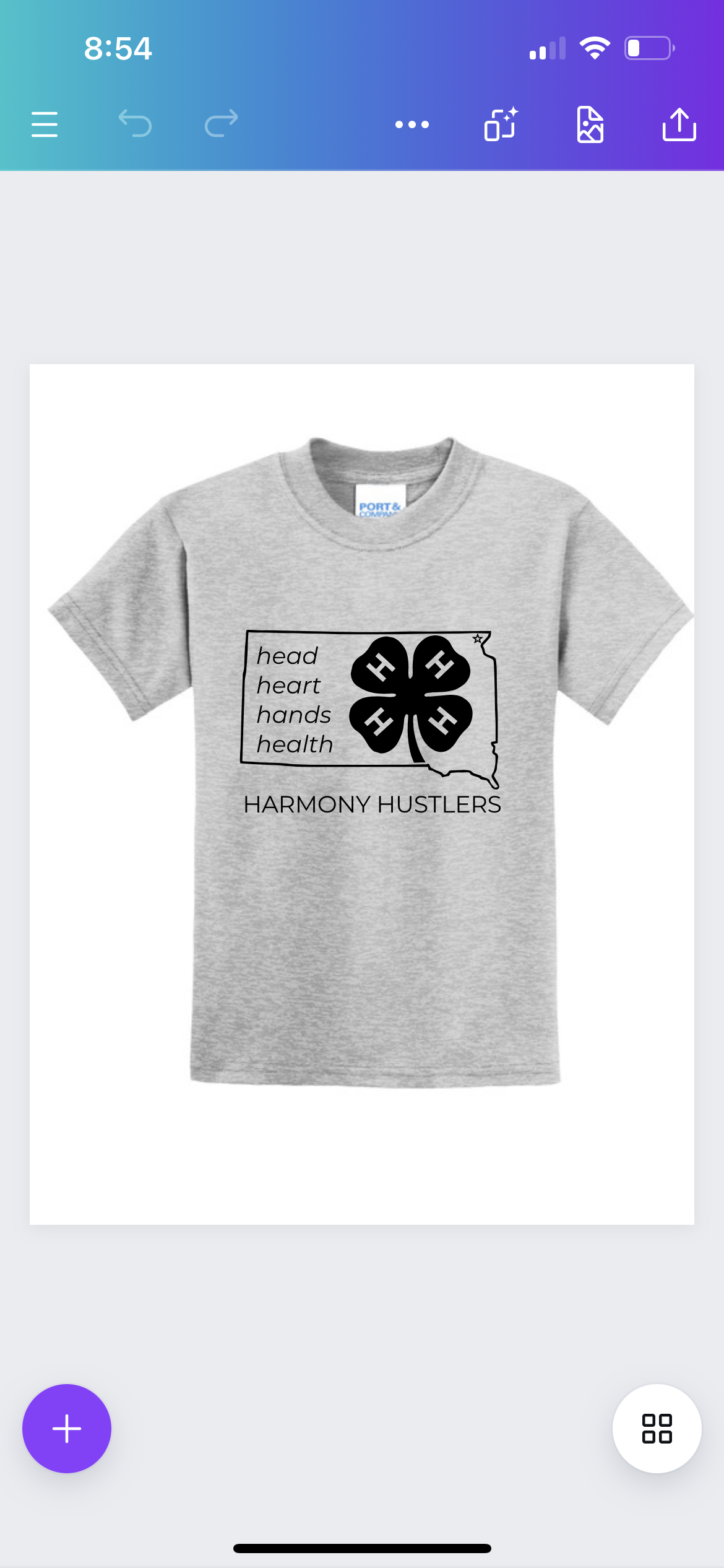 Harmony Hustlers T-Shirt Youth and Adult