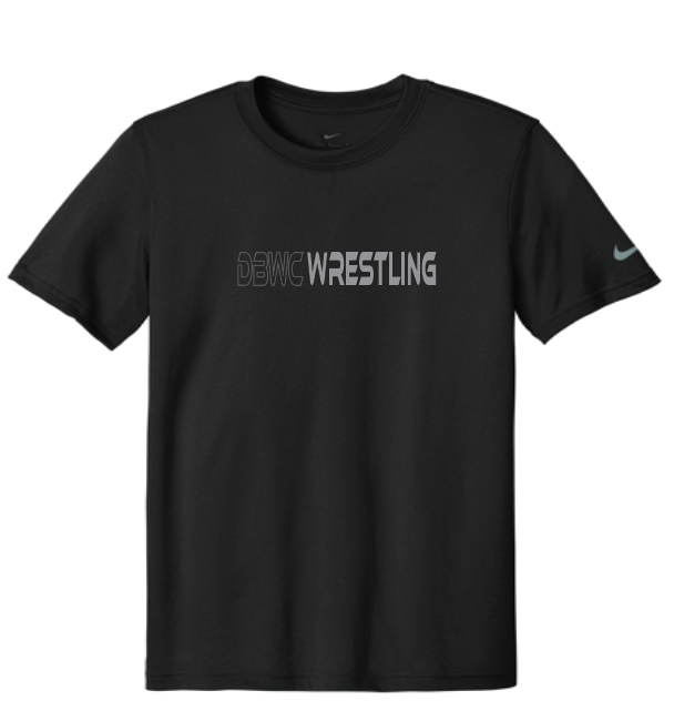 Nike Team rLegend Tee DV7299 Adult & Youth