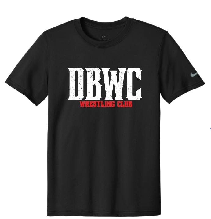 Nike Team rLegend Tee DV7299 Logo 2 Adult & Youth