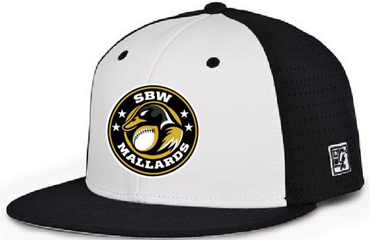 Embroidered Game Changer Perforated Low Pro Cap GB999