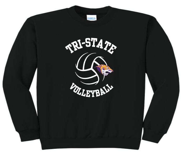 Port & Co Core Fleece Crewneck Youth & Adult
