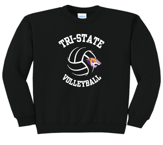 Port & Co Core Fleece Crewneck Youth & Adult