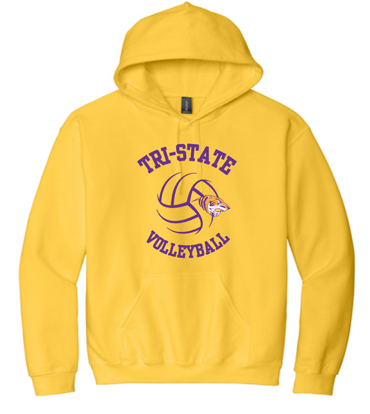 Gildan® Softstyle® Midweight Pullover Hooded Sweatshirt Youth & Adult