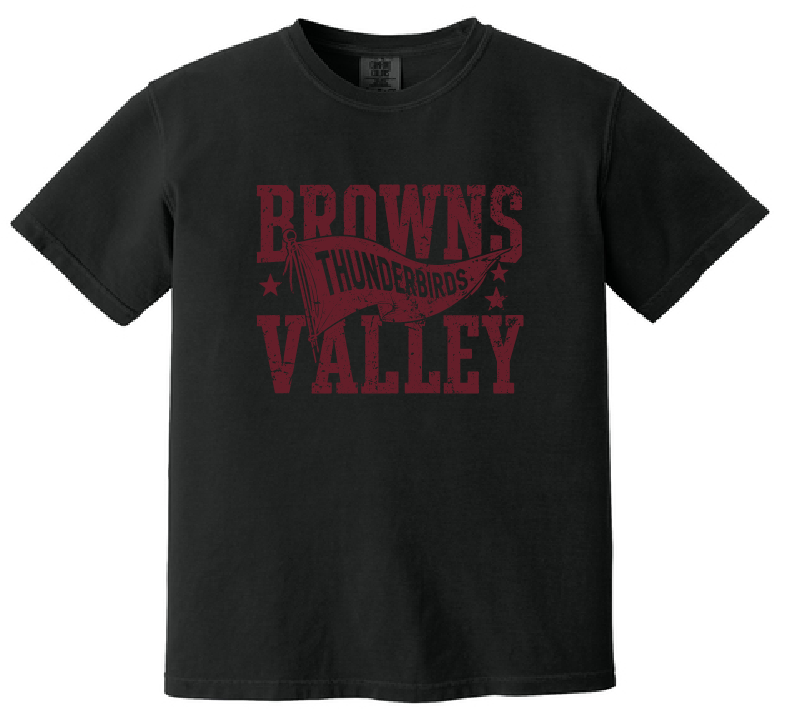 Comfort Colors® Heavyweight Ring Spun Tee Youth & Adult