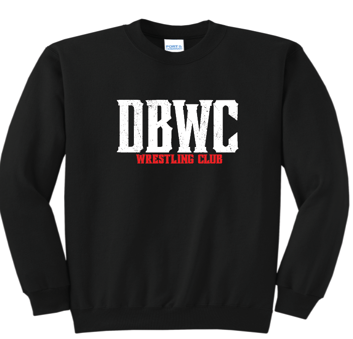 Port & Co™ Core Fleece Crewneck and Hooded Sweatshirt Logo 2 Adult & Youth
