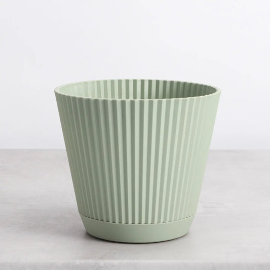 Sage Pot